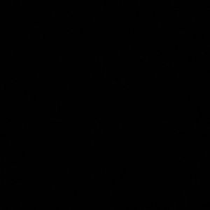 Meet your Posher, Trinity